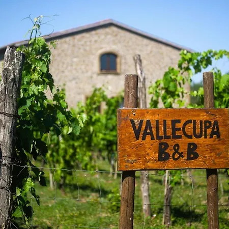 Panzió Vallecupa *