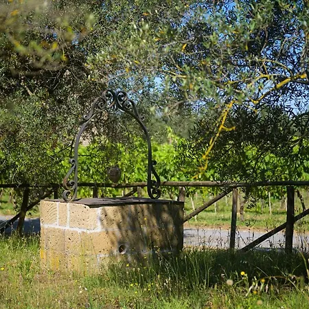 Vallecupa *