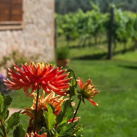 Bed & Breakfast Vallecupa *