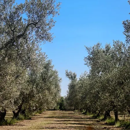 Vallecupa Bed & Breakfast *