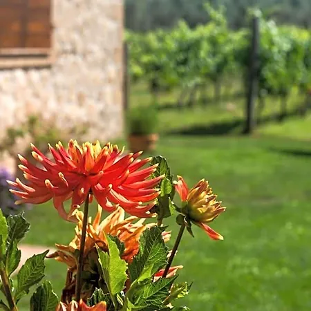 فندق مبيت وإفطار Vallecupa Farnese