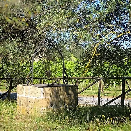 فندق مبيت وإفطار Vallecupa *