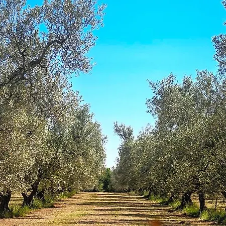 فندق مبيت وإفطار Vallecupa *