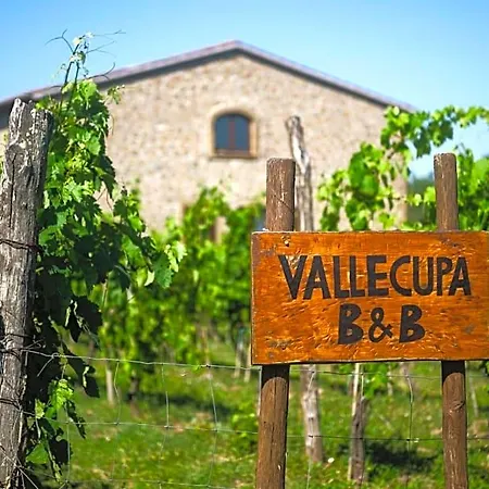 Vallecupa *