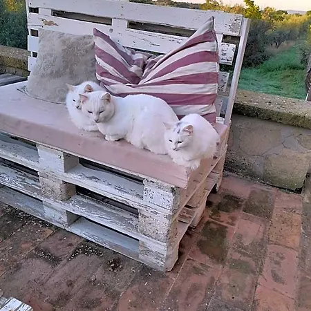 Vallecupa * Farnese