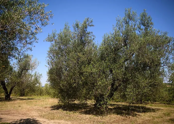 Alojamento de Acomodação e Pequeno-almoço Vallecupa *