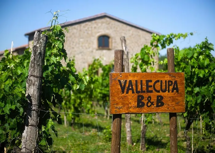 Alojamento de Acomodação e Pequeno-almoço Vallecupa *