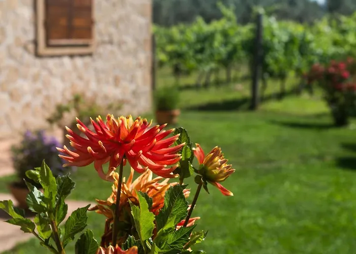 Alojamento de Acomodação e Pequeno-almoço Vallecupa *