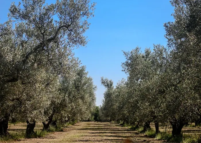 Vallecupa Alojamento de Acomodação e Pequeno-almoço *